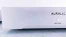 Auralic Merak Mono Power Amplifier