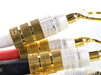 PS Audio xStream Statement Bi-Wire Speaker Cables