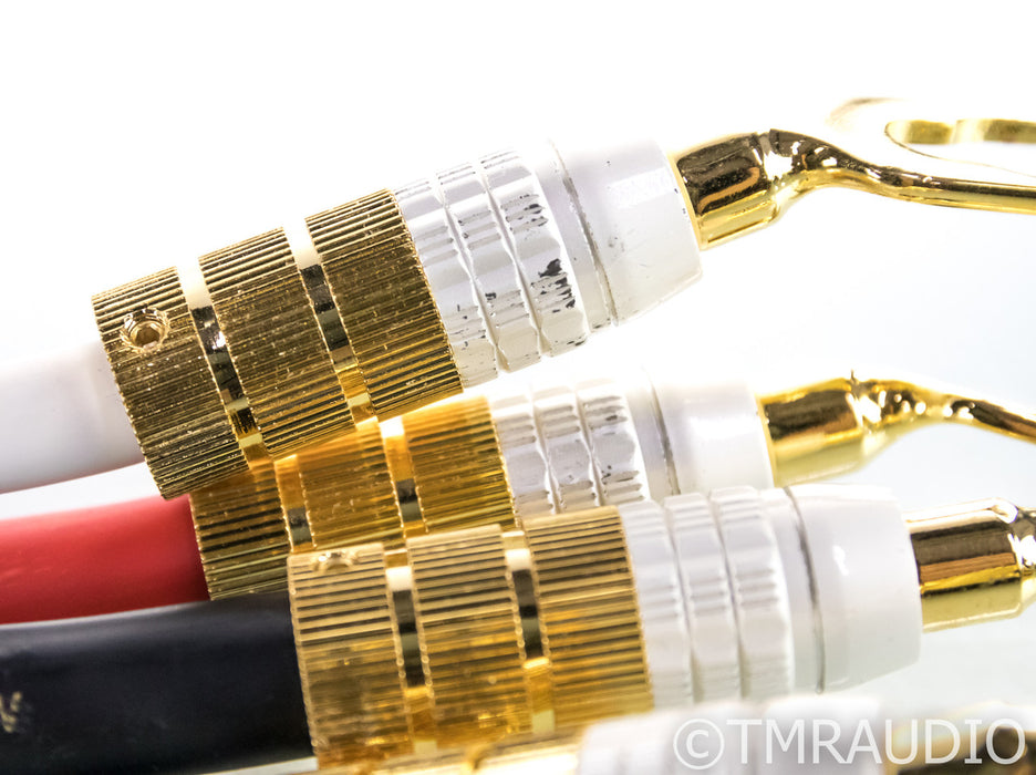 PS Audio xStream Statement Bi-Wire Speaker Cables