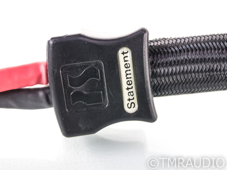 PS Audio xStream Statement Bi-Wire Speaker Cables