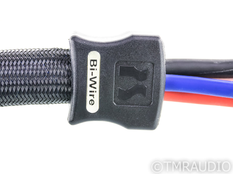 PS Audio xStream Statement Bi-Wire Speaker Cables