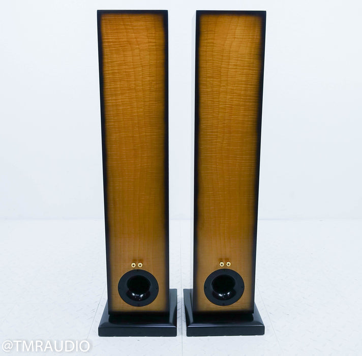 Salk Sound SongBird Floorstanding Speakers