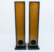 Salk Sound SongBird Floorstanding Speakers