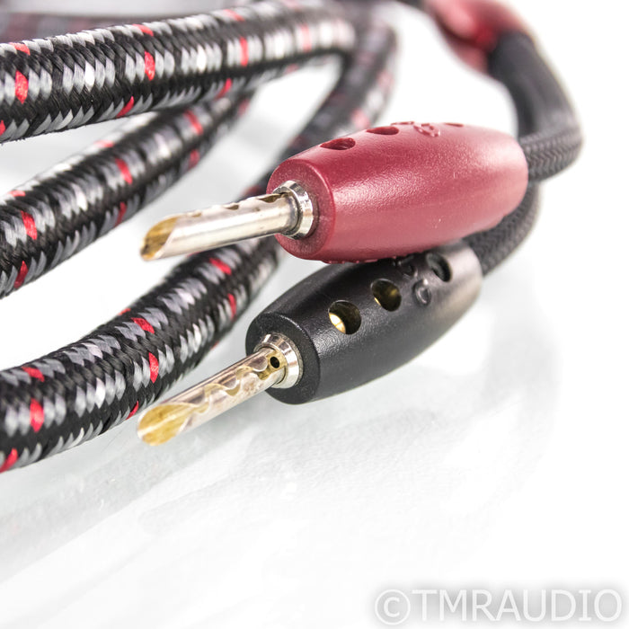 Audioquest CV-8 Speaker Cable; Single 10ft Cable; 36V DBS