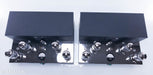 Quicksilver Audio V4 Mono Tube Power Amplifier