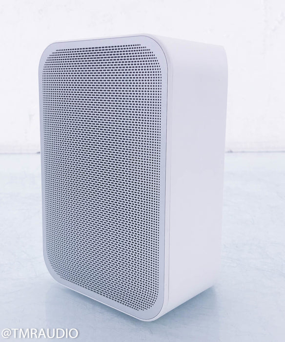 Bluesound Pulse Flex Wireless Speaker