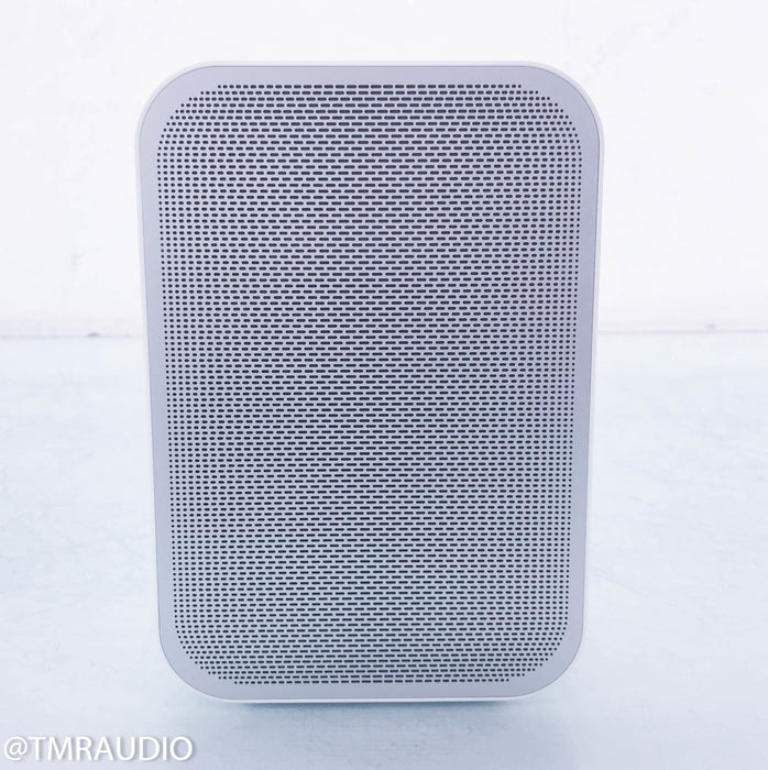 Bluesound Pulse Flex Wireless Speaker