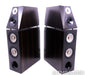 Von Schweikert VR-5SE Floorstanding Speakers
