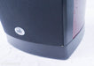 PSB Synchrony One Floorstanding Speakers