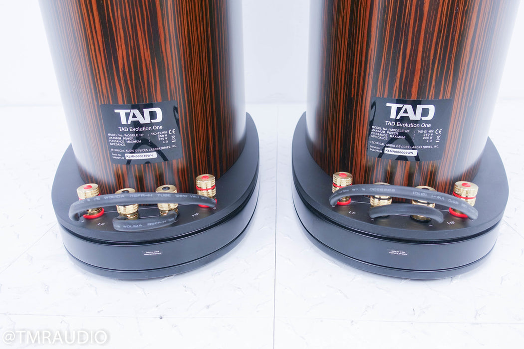 TAD Evolution One Floorstanding Speakers