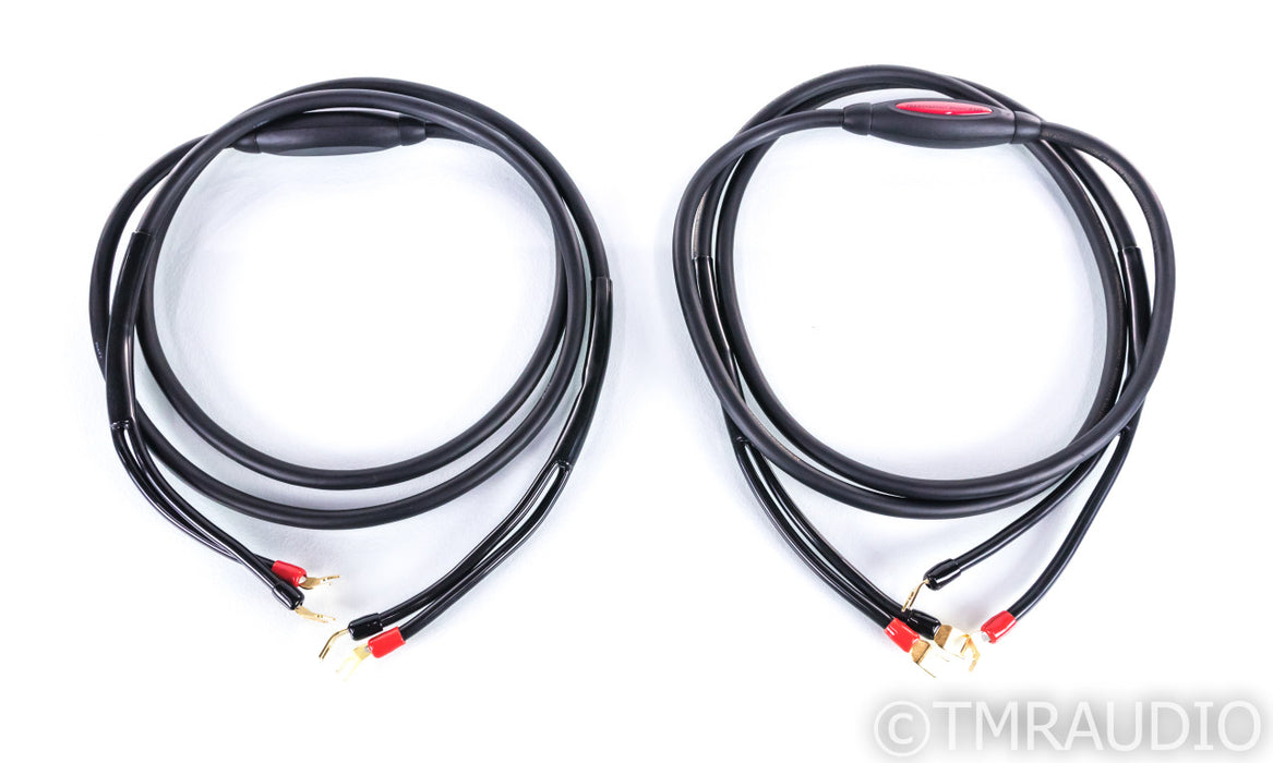 Transparent Audio MusicWave Speaker Cables; 8ft Pair