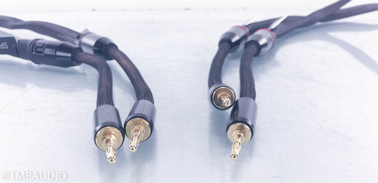 Tara Labs The 2 Speaker Cables