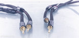 Tara Labs The 2 Speaker Cables