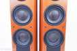 B&W Nautilus 803 Floorstanding Speakers