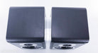 Sonus Faber Chameleon B Bookshelf Speakers