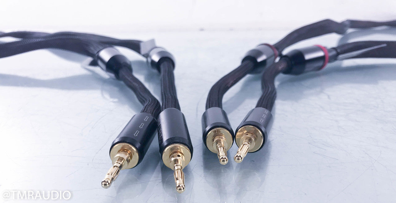 Tara Labs The 2 Speaker Cables