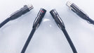 AudioQuest Panther XLR Cables
