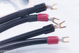 Transparent Audio MusicWave Plus Biwire Speaker Cables