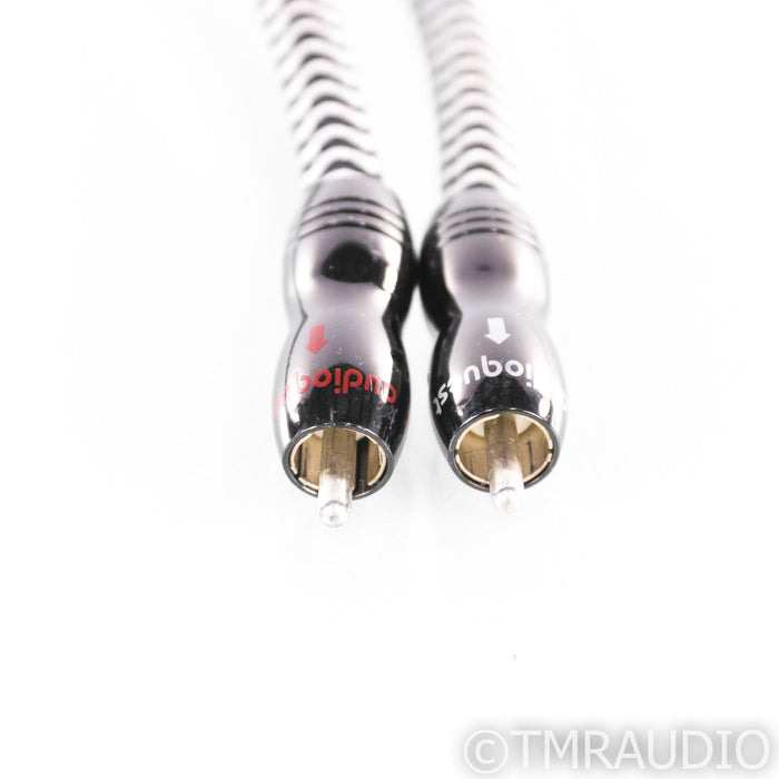 AudioQuest Cheetah RCA Cables 36v dBs; 1m Pair Interconnects
