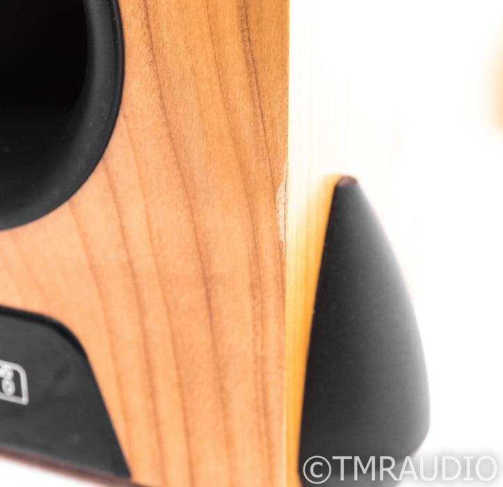 Rega RS5 Floorstanding Speakers