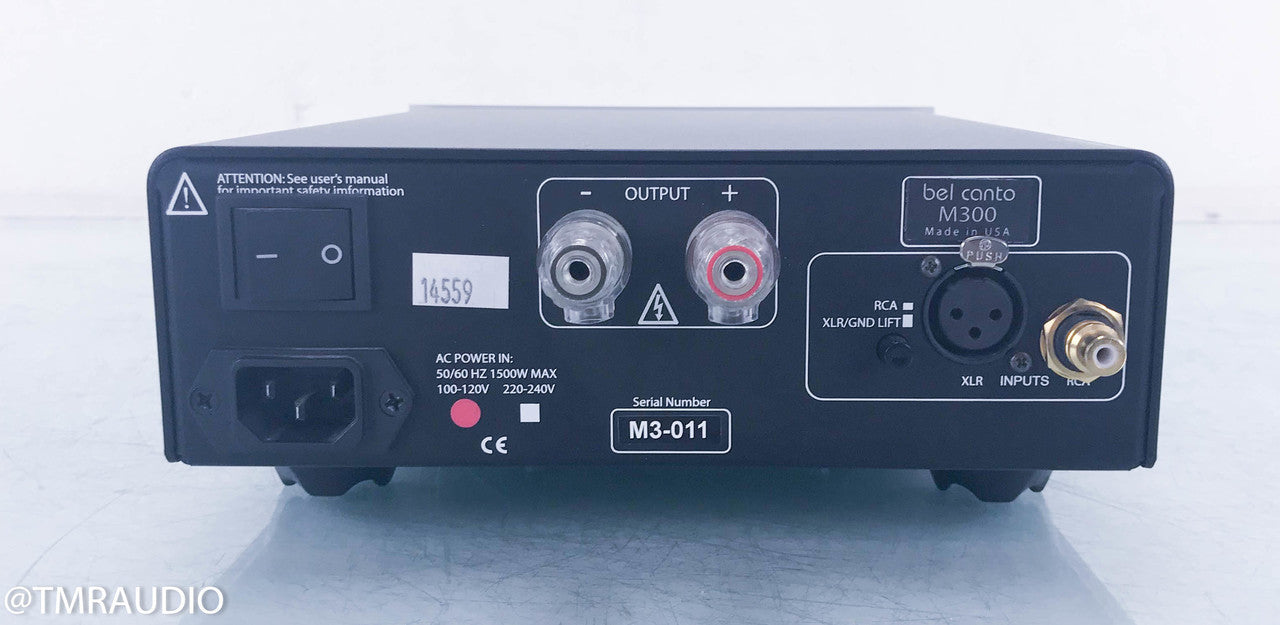 Bel Canto e.One M300 Mono Power Amplifier