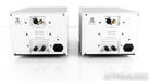 Kinki Studio EX-B7 Mono Power Amplifier