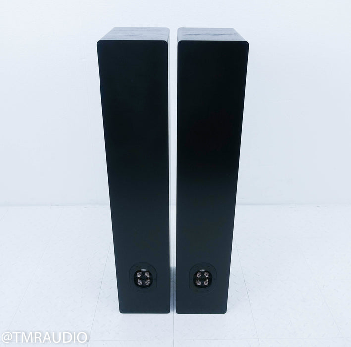 RBH MC-6CT Floorstanding Speakers