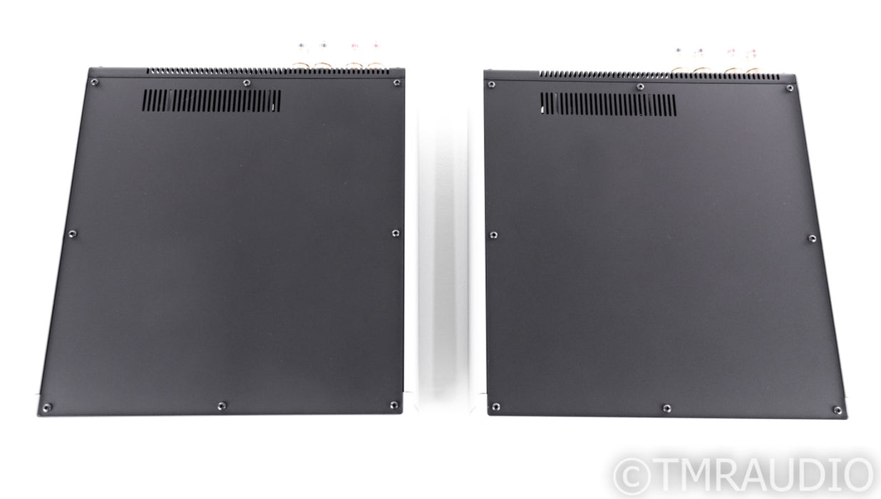 Audio Alchemy DPA-1M Mono Power Amplifier