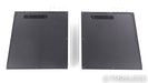 Audio Alchemy DPA-1M Mono Power Amplifier