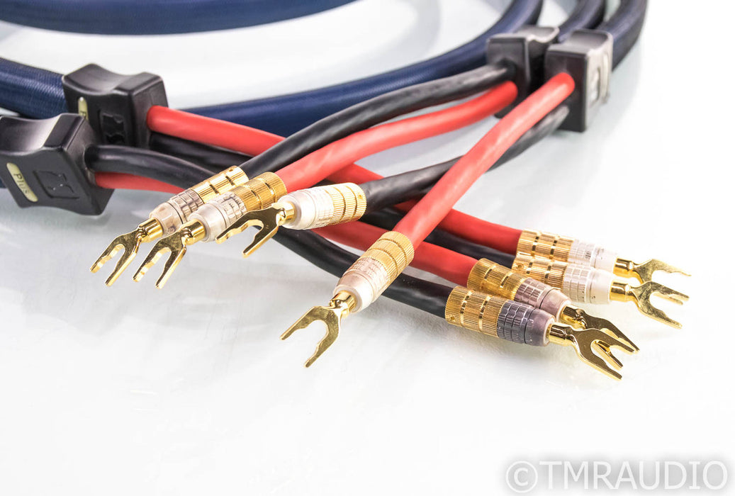 PS Audio xStream Plus Speaker Cables; 10ft Pair; Spade & Banana Terminations