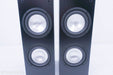 RBH MC-6CT Floorstanding Speakers