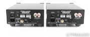 Wyred 4 Sound SX-1000 Mono Power Amplifier
