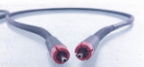 Morrow Audio MA6 RCA Cables w/ ETI Silver Bullet Plugs