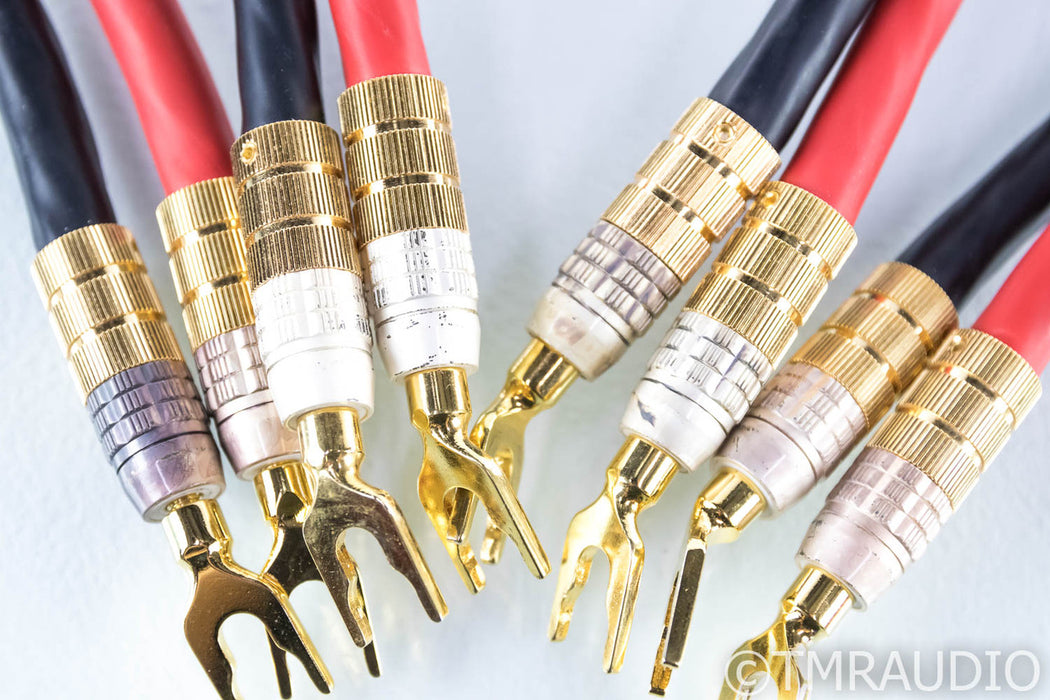 PS Audio xStream Plus Speaker Cables; 10ft Pair; Spade & Banana Terminations