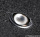 Gershman Audio GAP 520-X Floorstanding Speakers