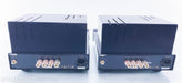 PrimaLuna ProLogue 7 Mono Power Amplifier