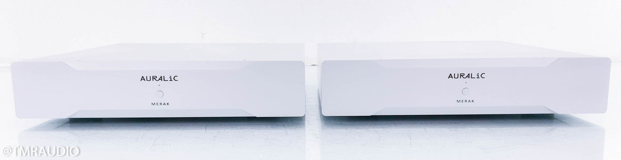 Auralic Merak Mono Power Amplifier