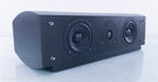 Pinnacle DIG CTR 1000 Center Channel Speaker