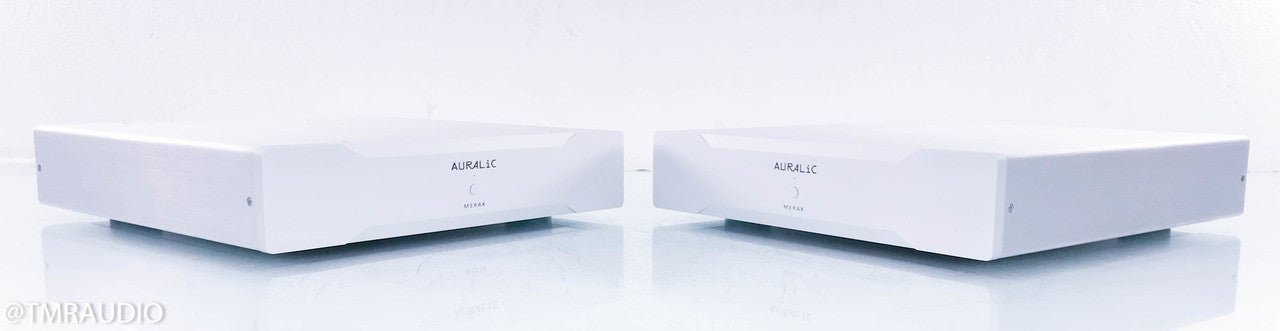Auralic Merak Mono Power Amplifier
