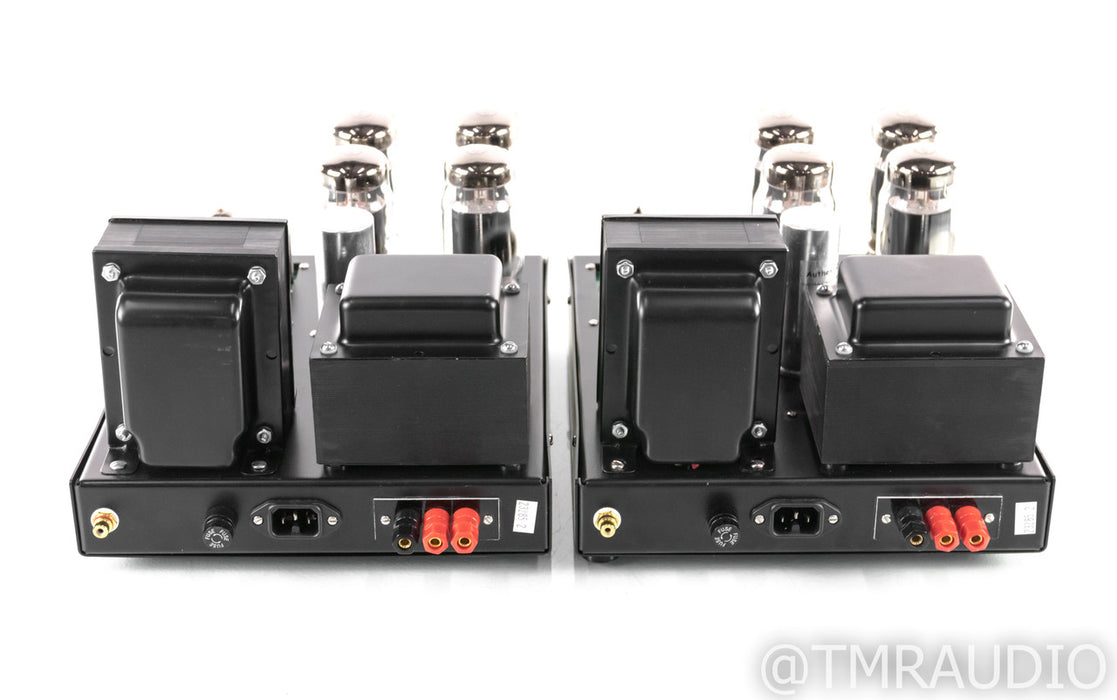 VTA M-125 Mono Tube Power Amplifier