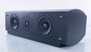 Pinnacle DIG CTR 1000 Center Channel Speaker