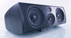 PSB Synchrony One C Center Channel Speaker