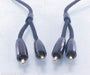Audioquest Big Sur RCA Cables