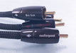 Audioquest Big Sur RCA Cables