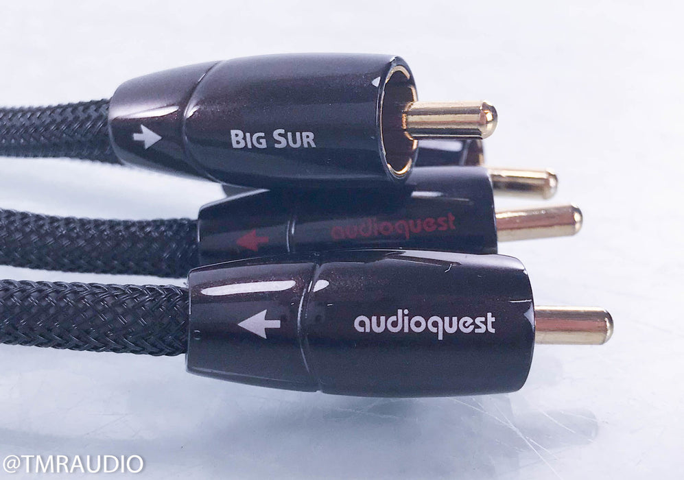 Audioquest Big Sur RCA Cables