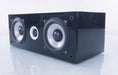 Pinnacle BD 300 Center Channel Speaker