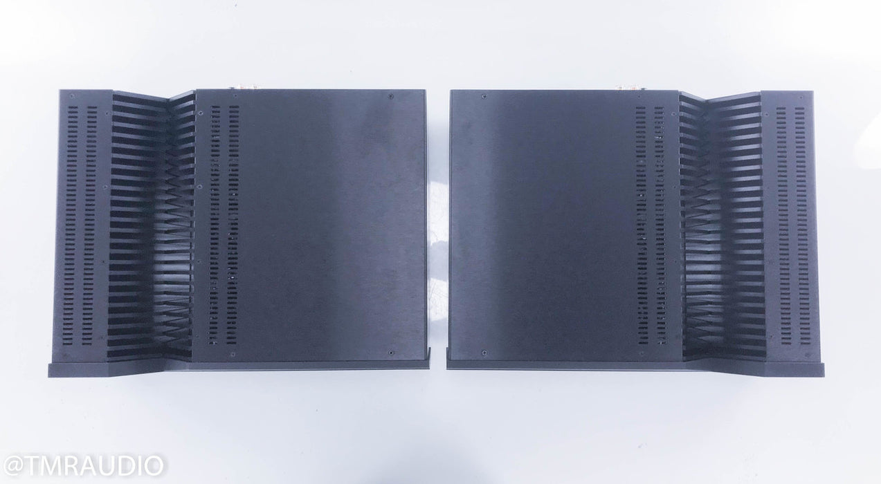 Aragon Iridium Mono Power Amplifier