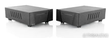 Wyred 4 Sound SX-1000 Mono Power Amplifier