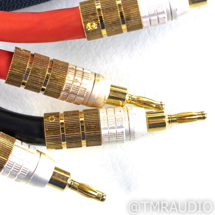 PS Audio XStream Statement Speaker Cables; 3m Pair; Spade / Banana