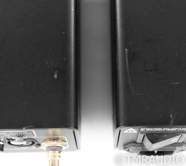 Bel Canto M300 Mono Power Amplifier